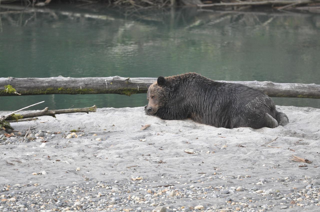 Desolation Sound Homfray Lodge מראה חיצוני תמונה